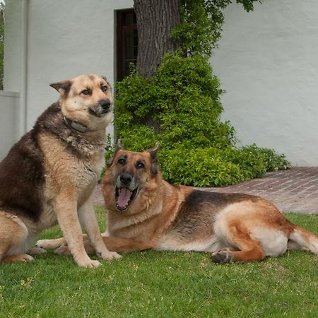 La Galiniere Guest Cottages Franschhoek Εξωτερικό φωτογραφία