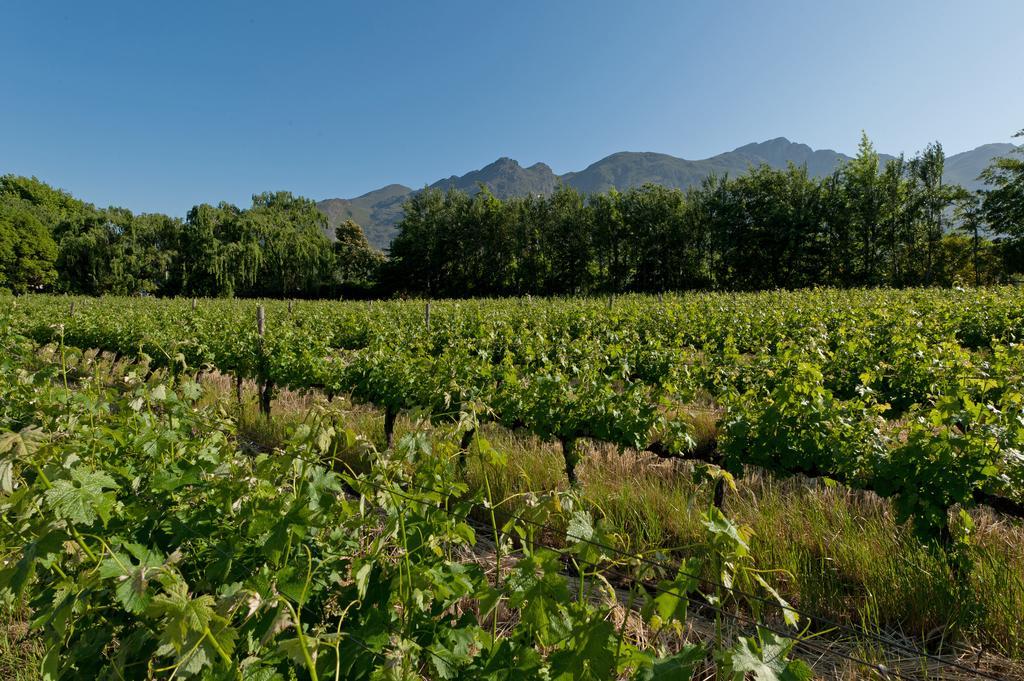La Galiniere Guest Cottages Franschhoek Εξωτερικό φωτογραφία