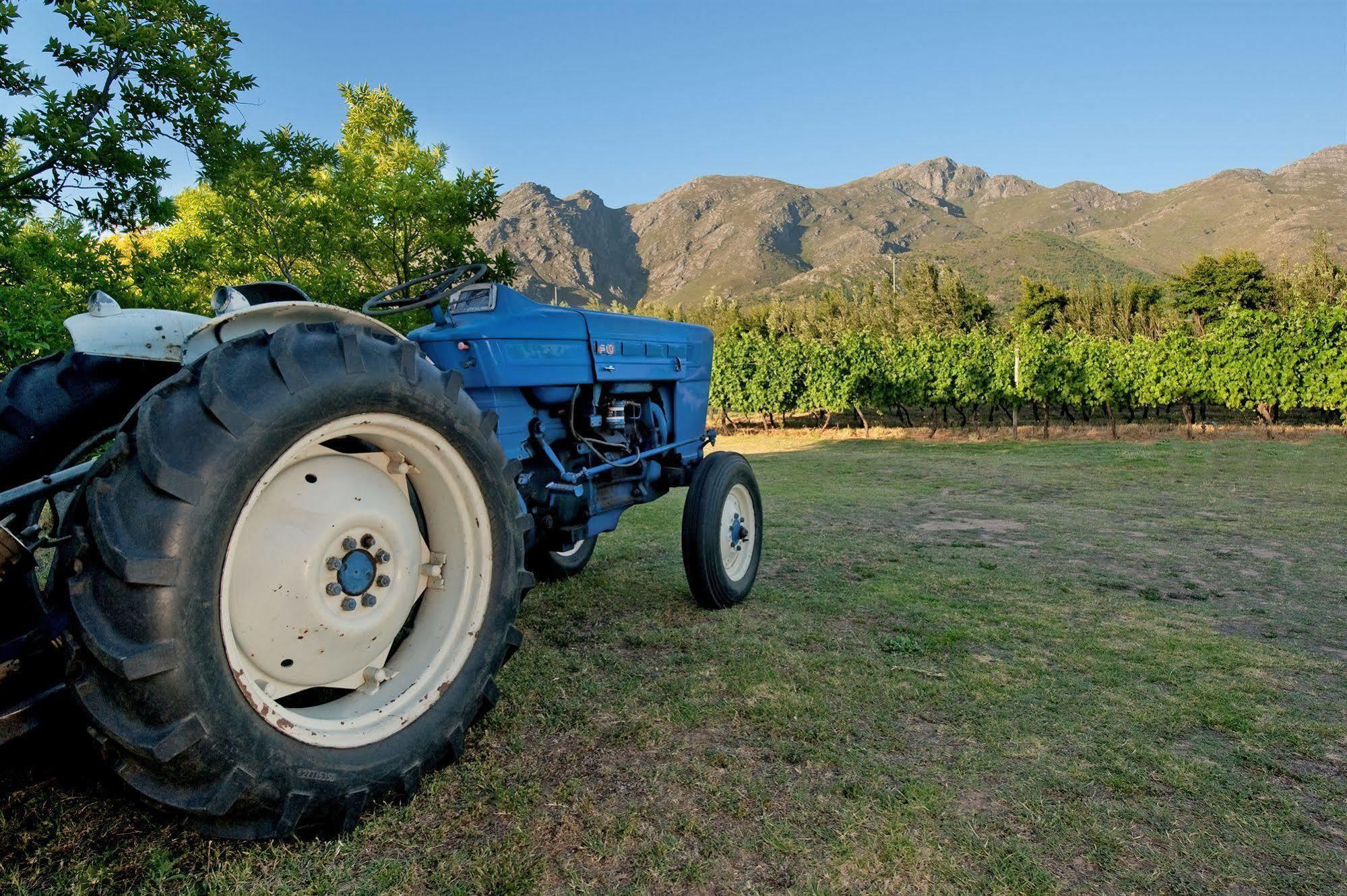La Galiniere Guest Cottages Franschhoek Εξωτερικό φωτογραφία