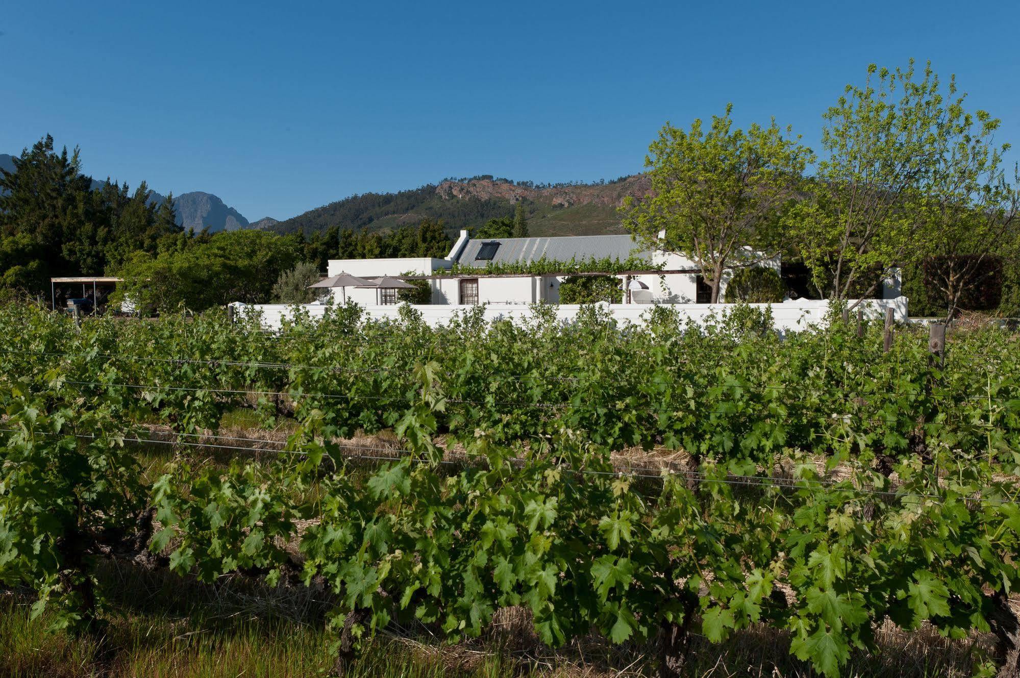 La Galiniere Guest Cottages Franschhoek Εξωτερικό φωτογραφία